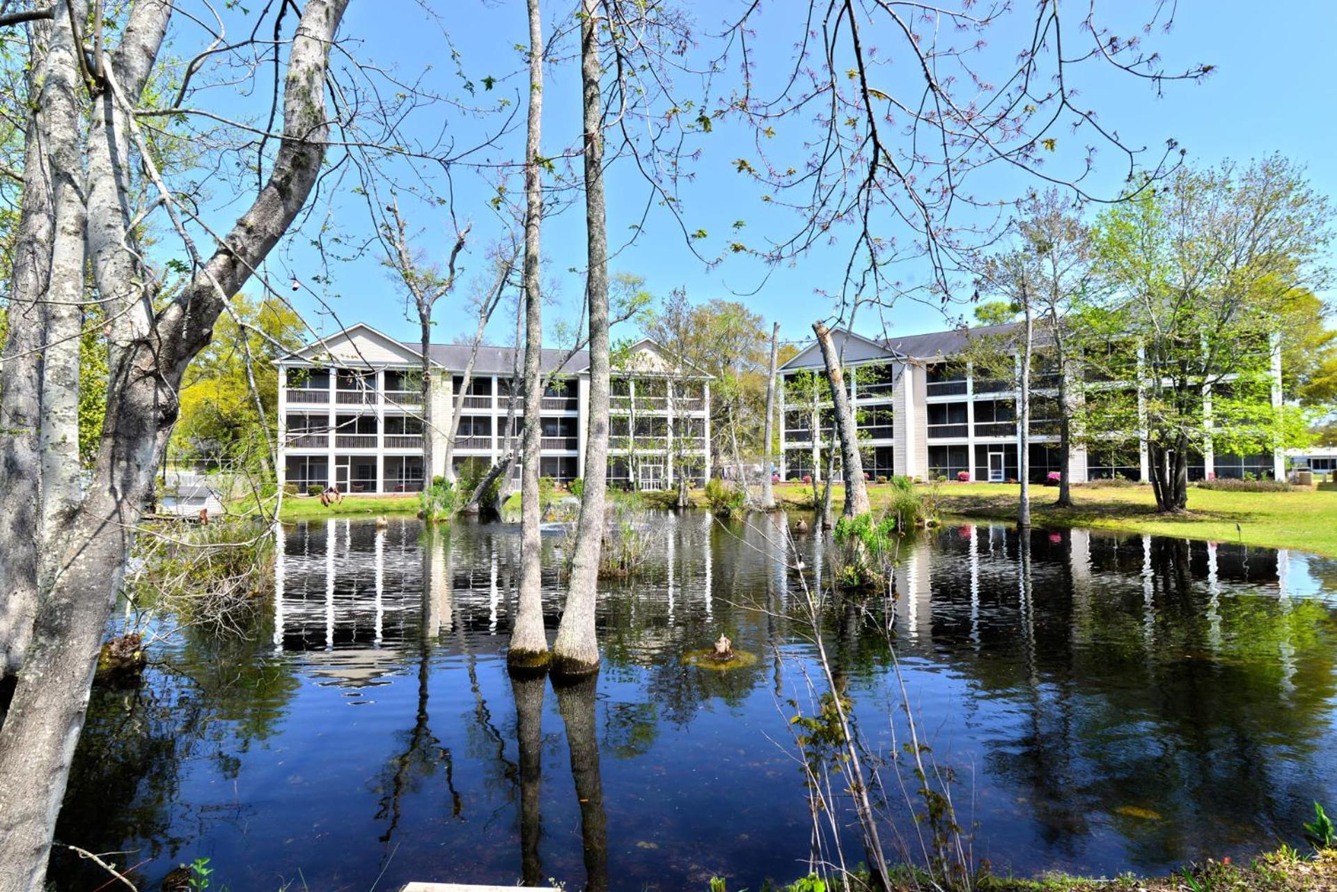 All New Luxury Beach Retreat 1 Mile To Beach W Pool Myrtle Beach Exterior foto